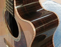 guitar cutaway